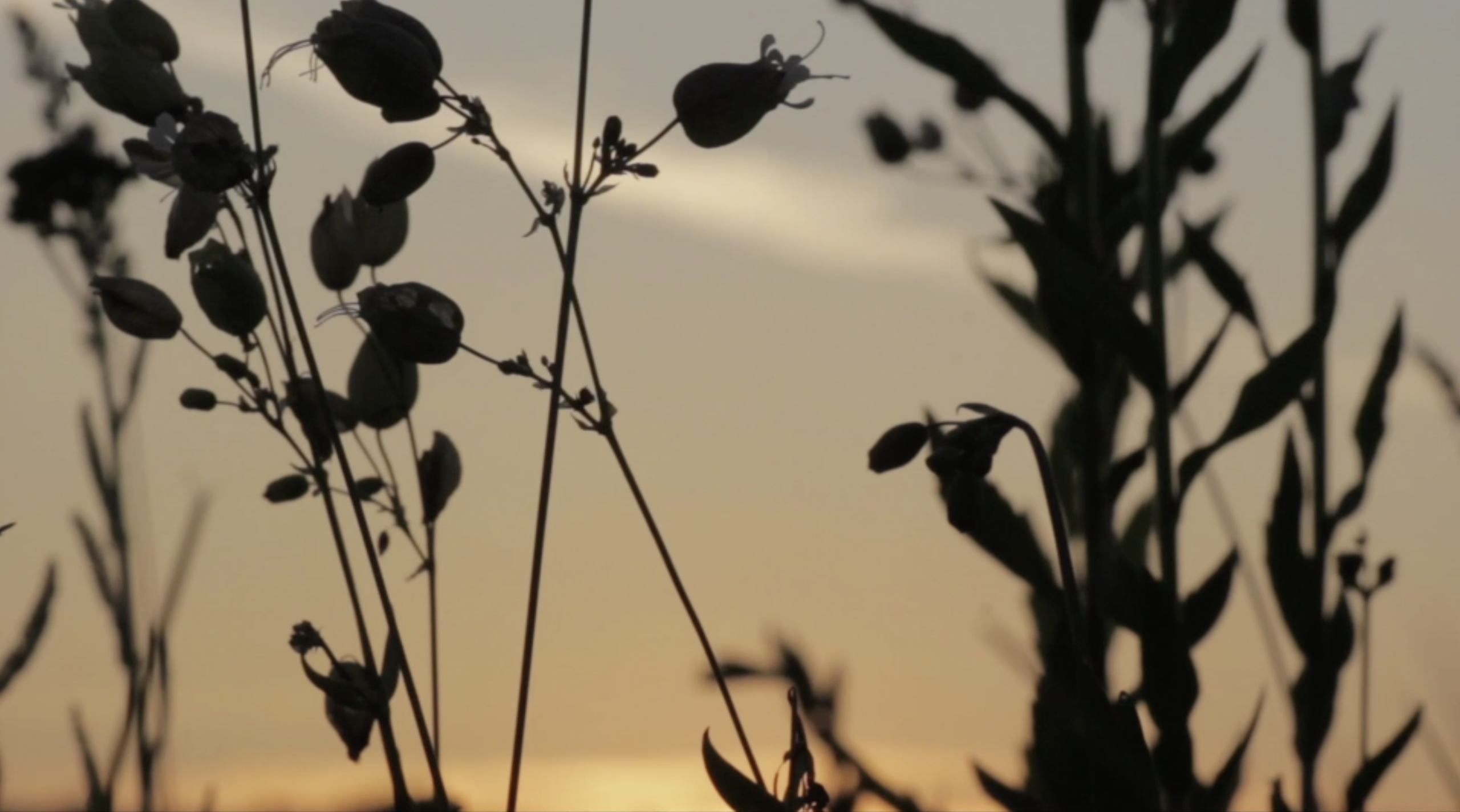 3 Step Breathing Space