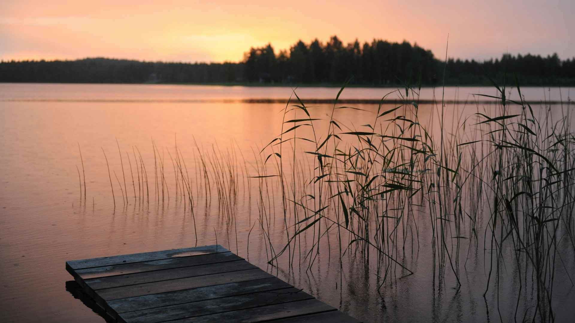 Loneliness that hides in plain sight