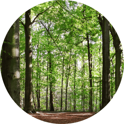 Veronika Kloucek, UKCP and BACP Senior Accredited psychotherapist for relationship issues, burnout and trauma. Online across the UK and in-person in Wimbledon, SW20.